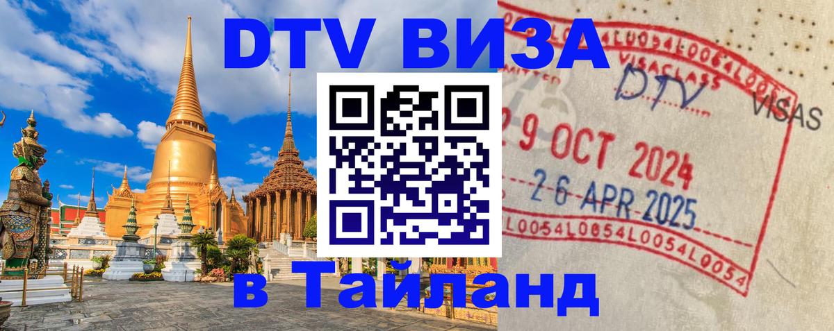 Оформление DTV визы под ключ: стоимость и тарифы, только загранпаспорт - 05.12.2025 